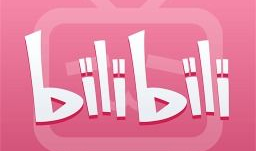 哔哩哔哩视频下载工具,轻松获取心仪内容